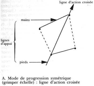 dupuis1_modes_progression.JPG (11081 octets)